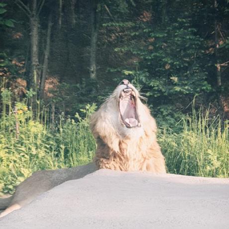 Profile picture of KSG